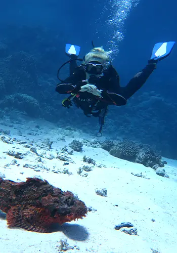 Egypt International Diving